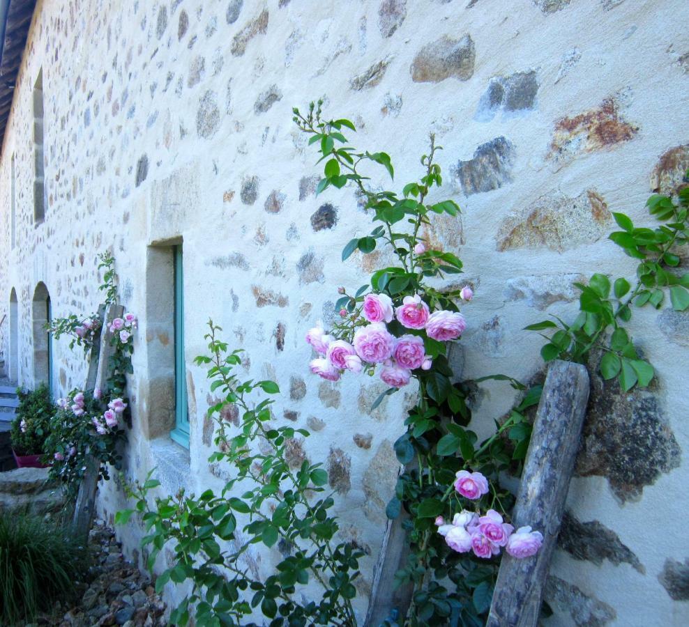 Les 5 Petits Lapins Bed & Breakfast Bar Luaran gambar