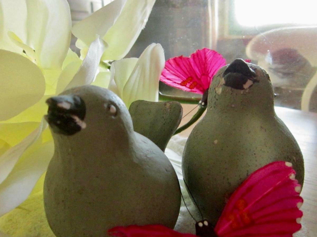 Les 5 Petits Lapins Bed & Breakfast Bar Luaran gambar